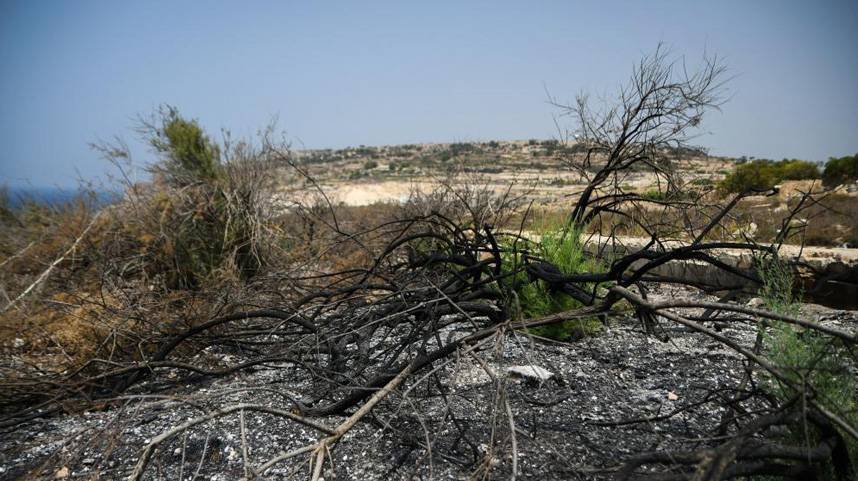 马耳他：持续高温引发多起山火