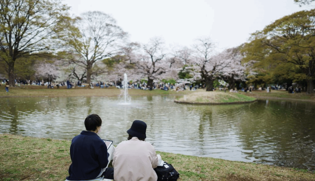 日本东京：春分休闲