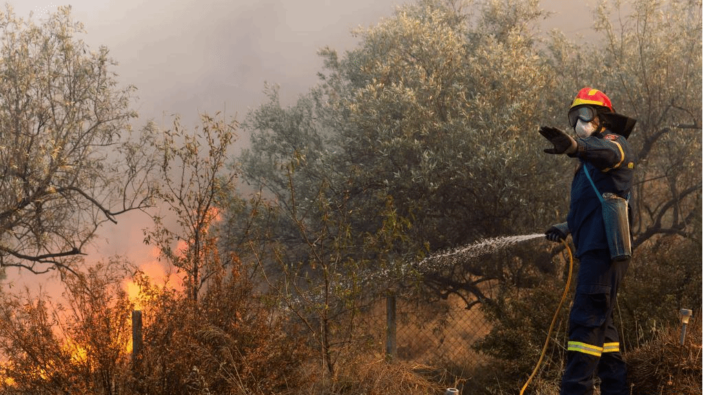 希腊多处野火肆虐