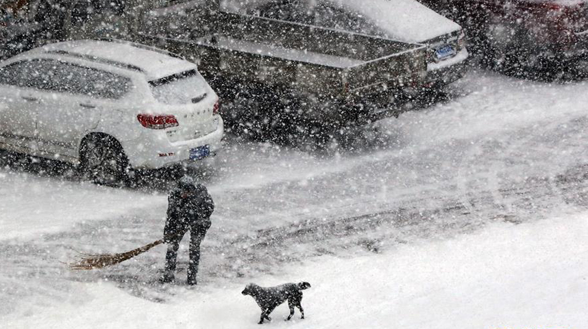 山东烟台：小寒时节雪花飘