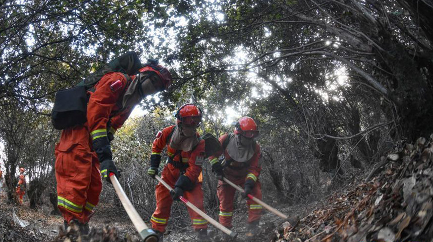 西藏：森林消防演练
