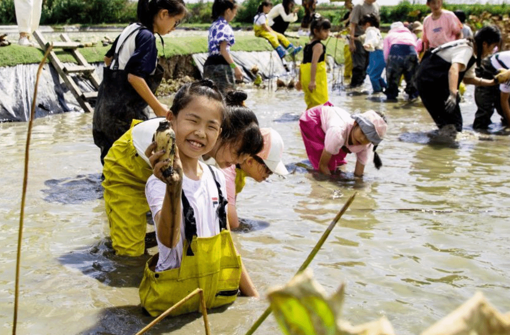 孩子们的假期