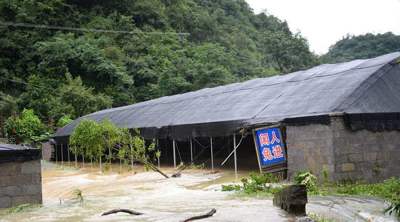 湖南澧县出现强降雨天气