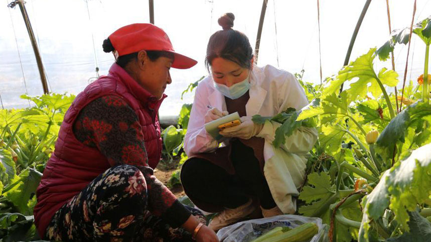 河北承德：强化蔬菜抽检 守护“舌尖上的安全”