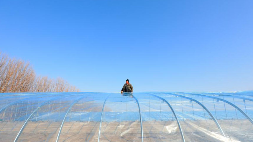 建设高标准大棚 壮大村集体经济