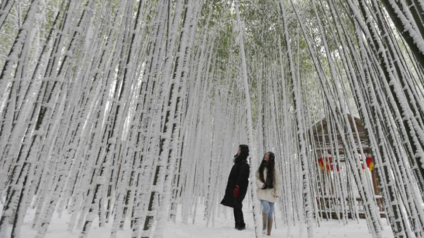 寒潮来袭 多地降雪