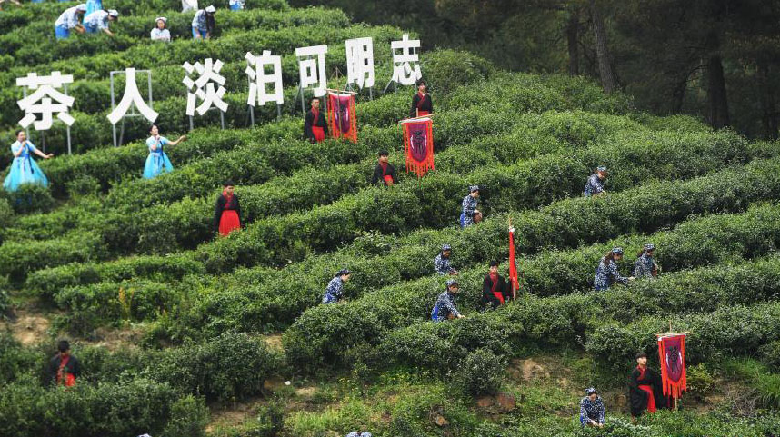 重庆大足举办茶文化节