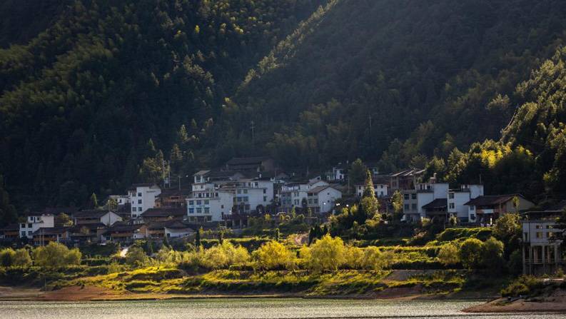 浙江景宁：崇山峻岭间的美丽乡村