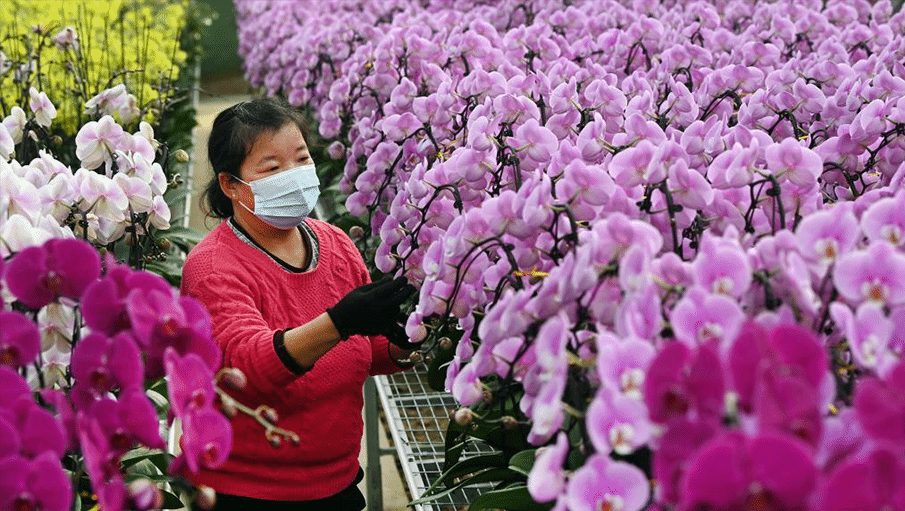 西安：低风险区域有序复工复产