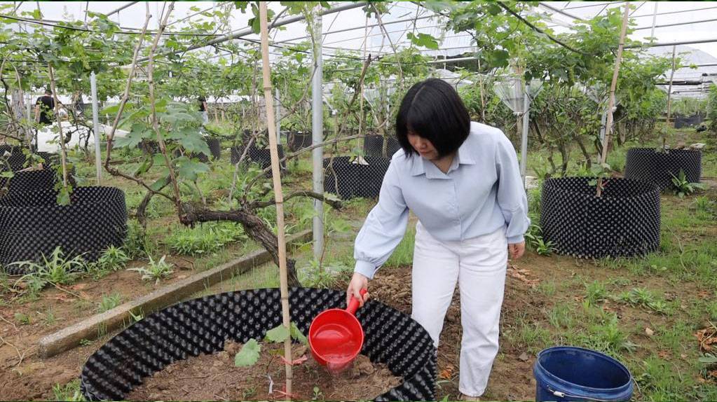 奋进新征程 建功新时代·老区新貌丨重返湘江畔 青春谋振兴