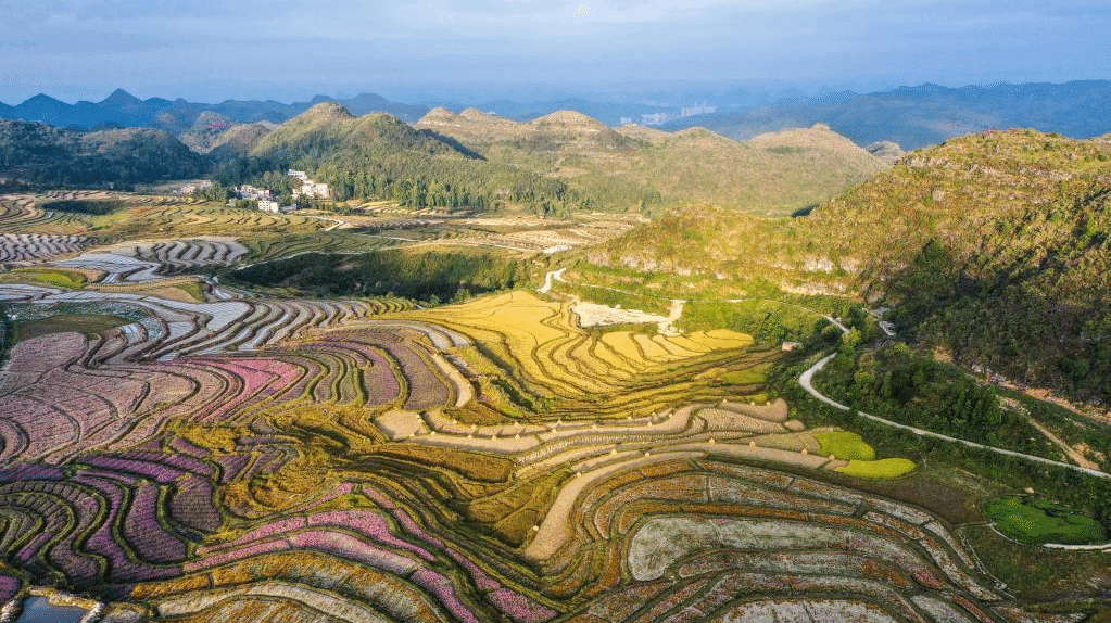 贵州花溪：农旅融合促振兴