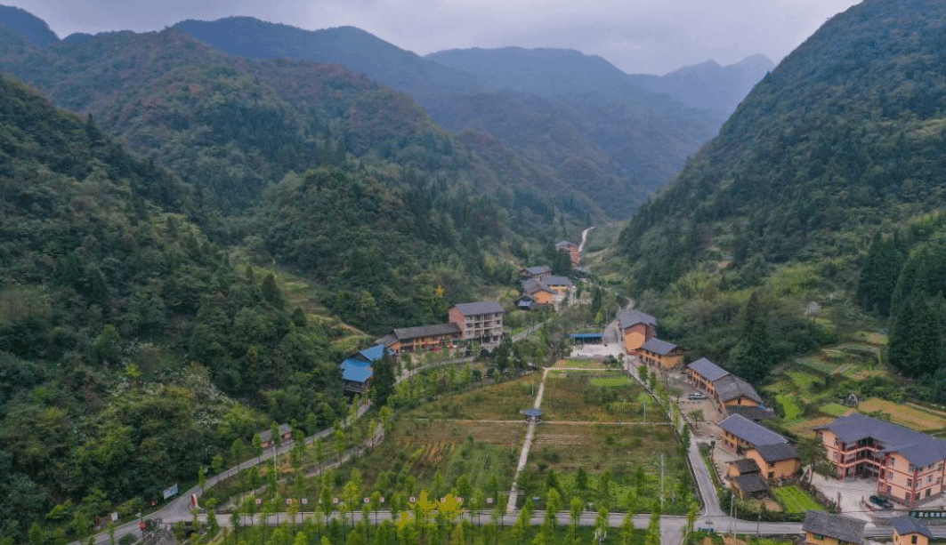 重庆南川：农旅融合助推乡村振兴