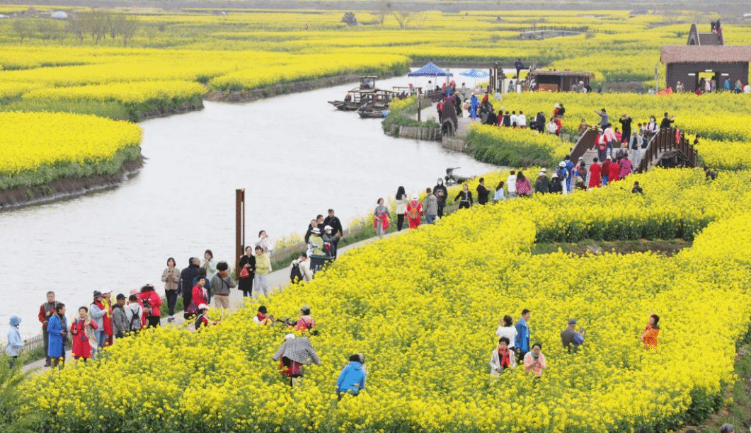 江苏兴化：“垛”上花开春意浓