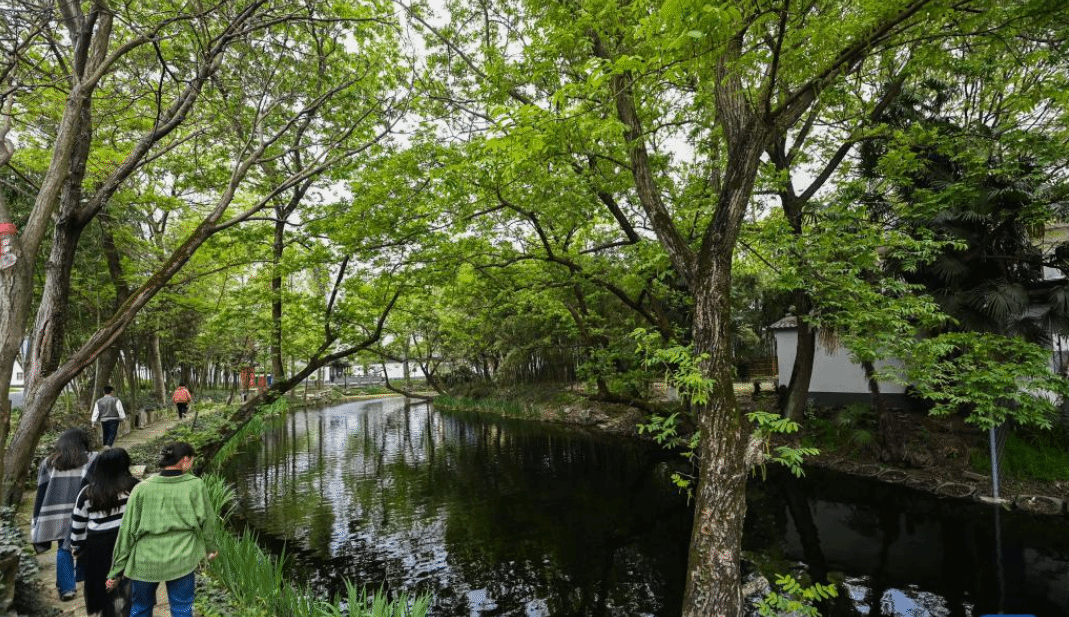 浙江嘉兴：打造美丽乡村旅游精品线