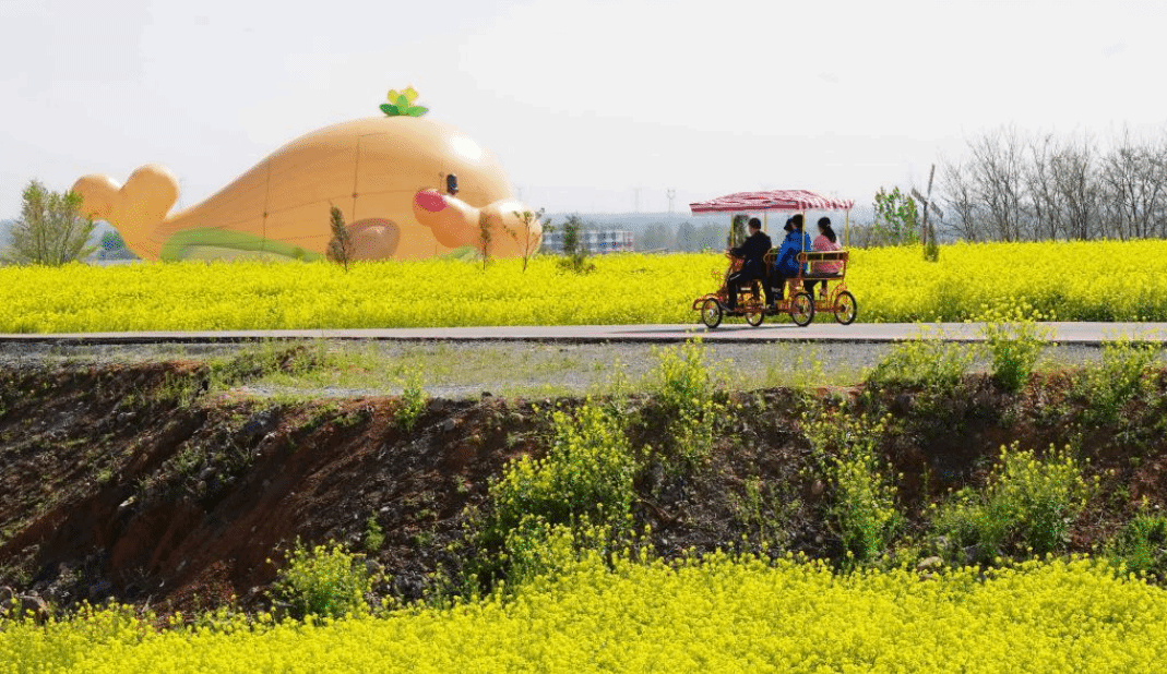 河北沙河：油菜花海里享春光