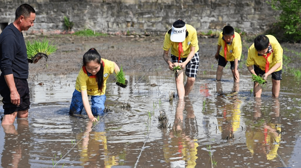 四川内江：农事体验促成长