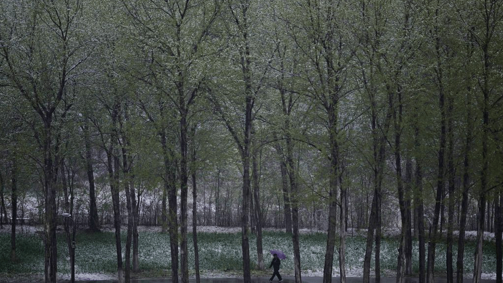 青海西宁迎来降雪天气