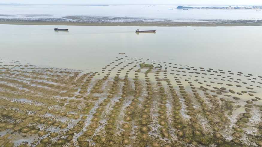 鄱阳湖进入枯水期时间创最早记录