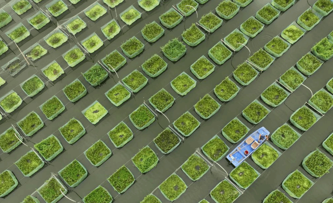 湖南衡阳：特色养殖助农增收