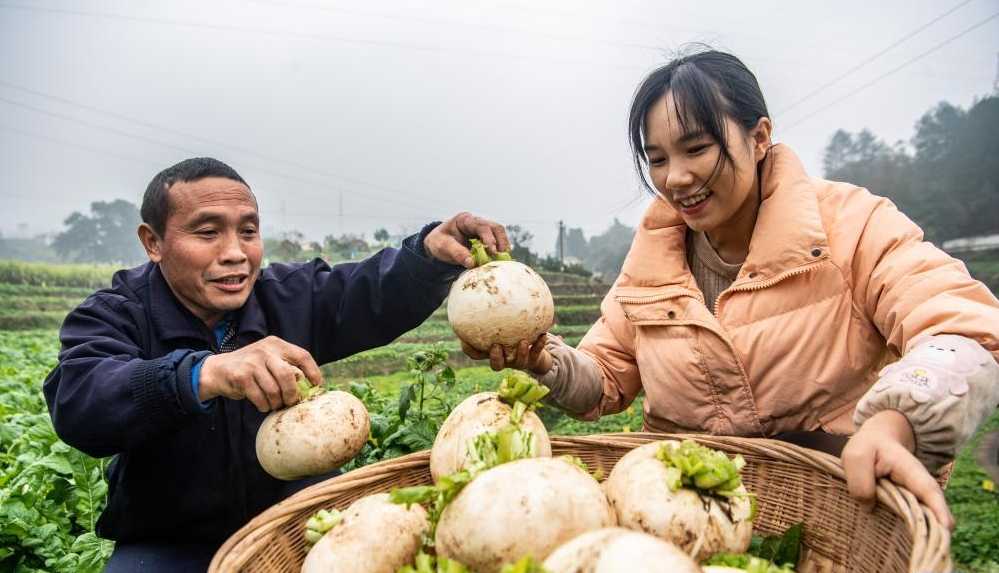 重庆：萝卜节 庆丰收