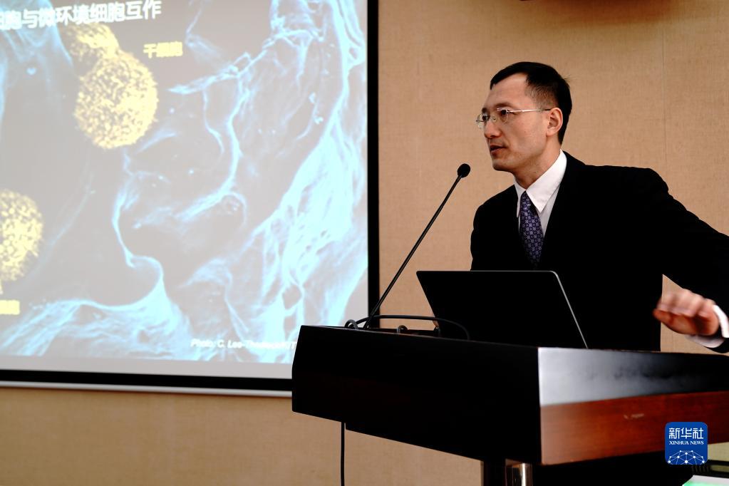 我国科学家利用创新技术揭示细胞也会“孟母三迁”-凯风网