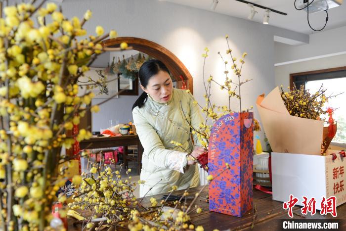 图为非物质文化遗产“静观插花艺术”传承人邓纪会正在制作蜡梅花束。　何蓬磊 摄