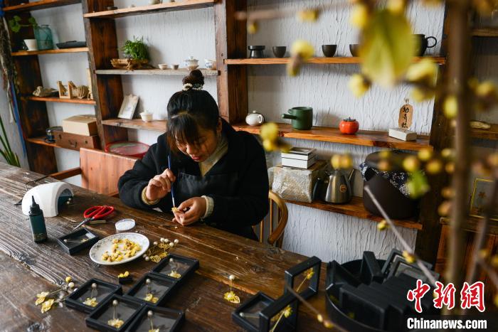 图为素心村“花木文化艺术创意工坊”内，工作人员正在制作蜡梅胸针。　何蓬磊 摄
