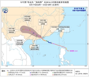 第7号台风