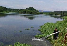 多部门：长江流域流放珍稀水生动物795万尾