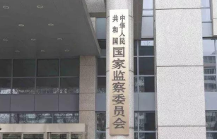 中央纪委国家监委公开通报六起问责典型案例