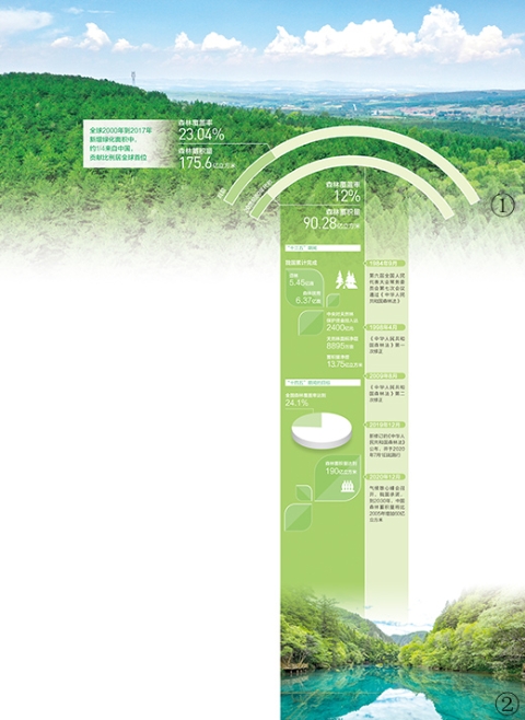 “十三五”期间 我国完成造林5.45亿亩