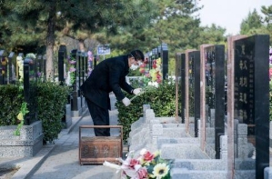 北京各公墓参与祭扫活动人数均较去年大幅回升
