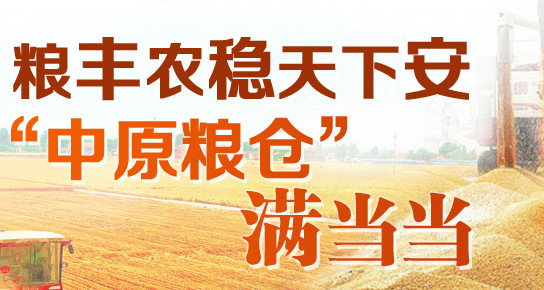 河南夏粮总产量位居全国第一 产量创历史新高