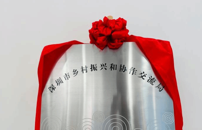 深圳设乡村振兴和协作交流局 全面推进乡村振兴