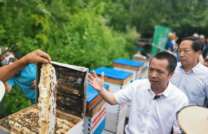 蜂蜜进口价格是出口价的数倍 专家称产业亟待升级