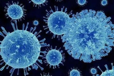 新冠病毒进入自然科学基金重点研究资助项目