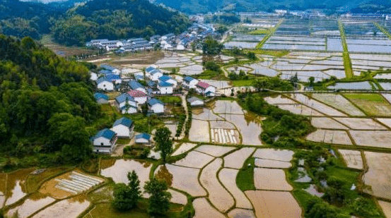 银保监会：扩大三大主粮作物完全成本和收入保险试点范围