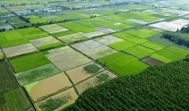 耕地保护守住红线 永久基本农田将特殊保护