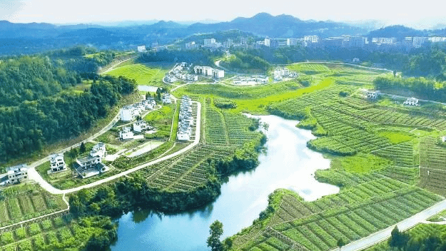 农村产业振兴划重点 一系列支持政策将落地