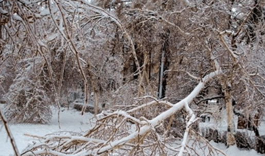 东北等地强降雪逐渐减弱 全国大部气温缓慢回升