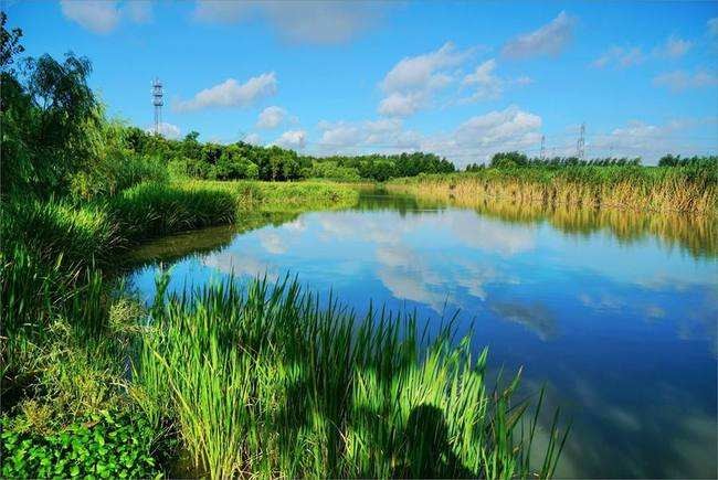 湿地生态状况持续改善 湿地公园达1600余处