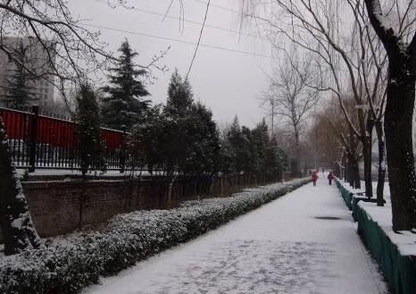 北京今明天又将有小雪飘落 周末阴冷持续