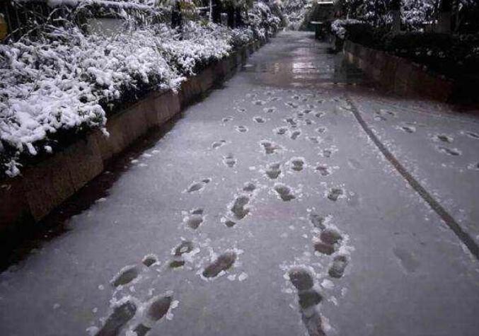 暴雪蓝色预警继续发布：安徽、江苏等地局地有暴雪
