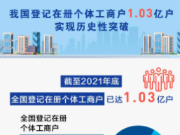 全国个体工商户已达1.03亿户：透过“1亿户”感受“烟火气”