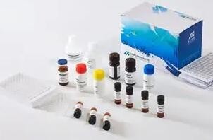 国家药监局已批准19个新冠病毒抗原检测试剂