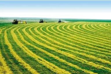 我国农业植物新品种权申请量超5万件