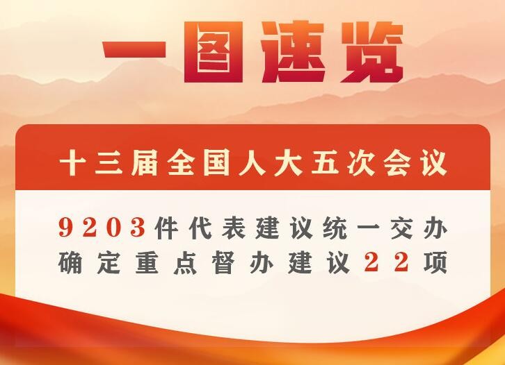 全国人大常委会办公厅确定22项重点督办代表建议