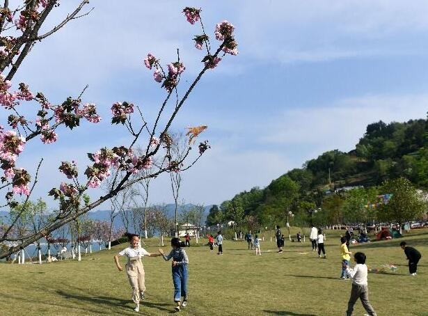 清明节假期国内旅游出游超7500万人次