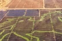 国家能源局：首批沙漠戈壁荒漠新能源项目近九成开建