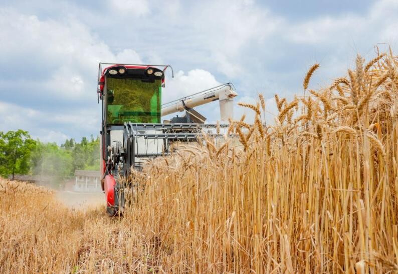 农业农村部：全力以赴抓好小麦机收和“三夏”生产